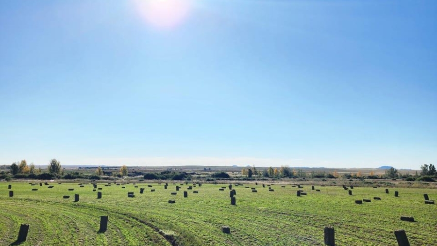 5 Bedroom Property for Sale in Edenburg Rural Free State